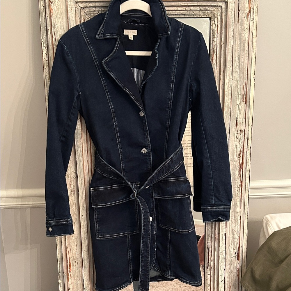 Pilcro denim dress